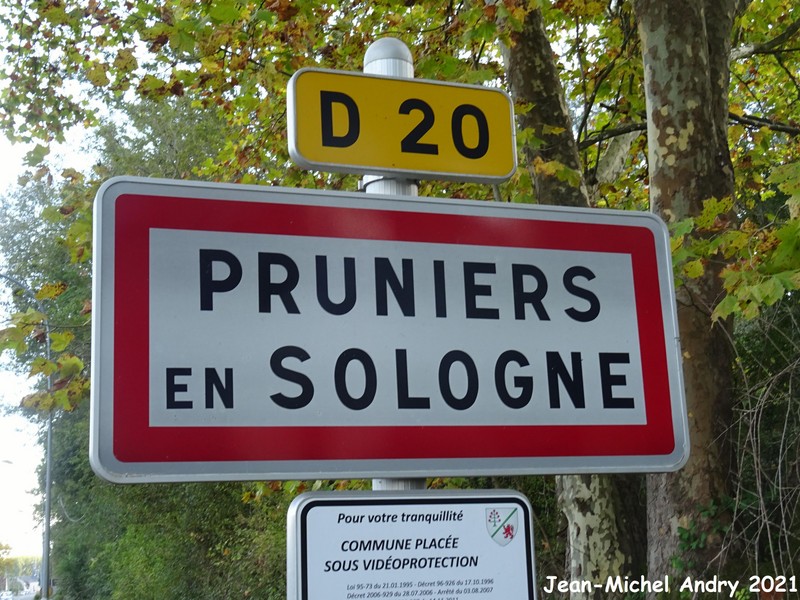 Pruniers-en-Sologne 41 - Jean-Michel Andry.jpg