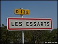Les Essarts 41 - Jean-Michel Andry.jpg