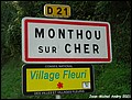 Monthou-sur-Cher 41 - Jean-Michel Andry.jpg