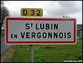 Saint-Lubin-en-Vergonnois 41 - Jean-Michel Andry.jpg