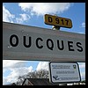 6Oucques 41 - Jean-Michel Andry.jpg