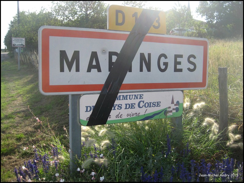 Maringes 42 - Jean-Michel Andry.jpg