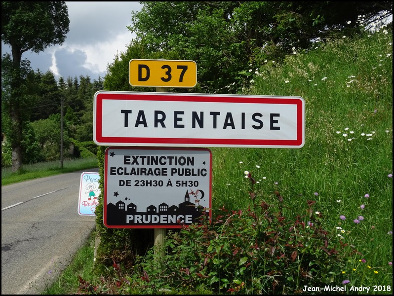 Tarentaise 42 - Jean-Michel Andry.jpg