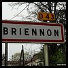Briennon 42 - Jean-Michel Andry.jpg