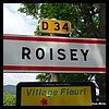 Roisey 42 - Jean-Michel Andry.jpg