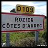 Rozier-Côtes-d'Aurec 42 - Jean-Michel Andry.jpg