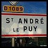 Saint-André-le-Puy 42 - Jean-Michel Andry.jpg