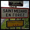 Saint-Médard-en-Forez 42 - Jean-Michel Andry.jpg