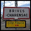 Brives-Charensac 43 - Jean-Michel Andry.jpg