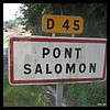 Pont-Salomon 43 - Jean-Michel Andry.jpg