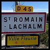 Saint-Romain-Lachalm 43 - Jean-Michel Andry.jpg