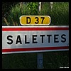 Salettes 43 - Jean-Michel Andry.jpg