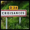 2 Croisances 43 - Jean-Michel Andry.jpg