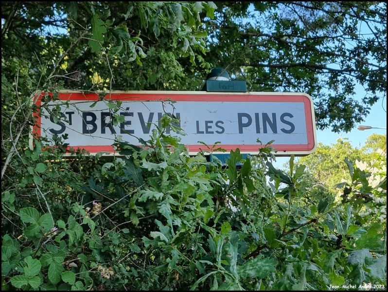 Saint-Brevin-les-Pins 44 - Jean-Michel Andry.jpg
