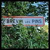 Saint-Brevin-les-Pins 44 - Jean-Michel Andry.jpg