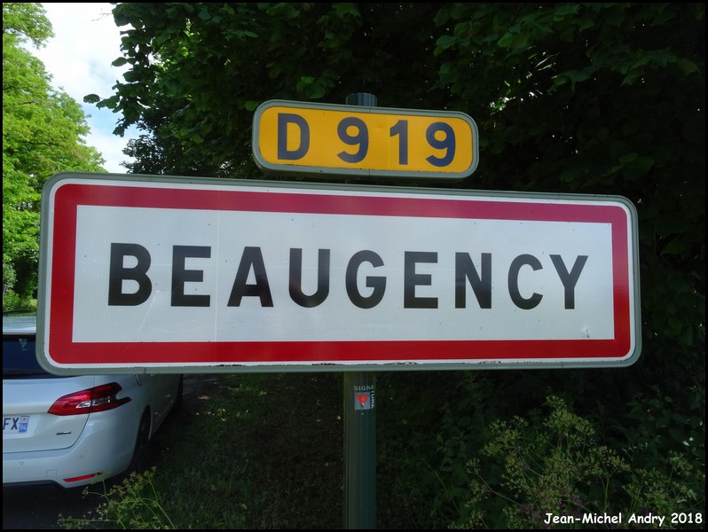 Beaugency 45 - Jean-Michel Andry.jpg