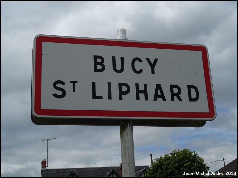 Bucy-Saint-Liphard 45 - Jean-Michel Andry.jpg