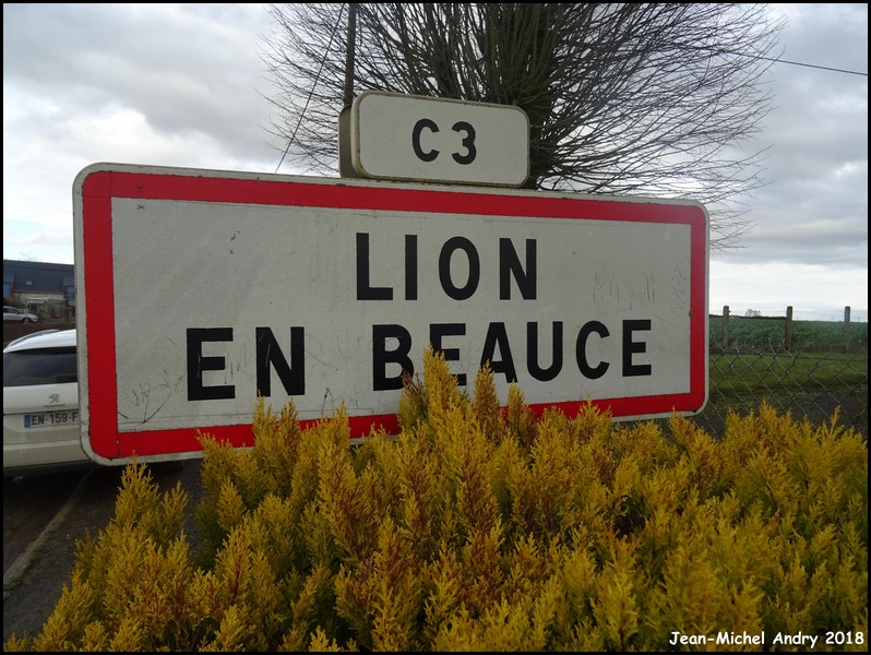 Lion-en-Beauce 45 - Jean-Michel Andry.jpg