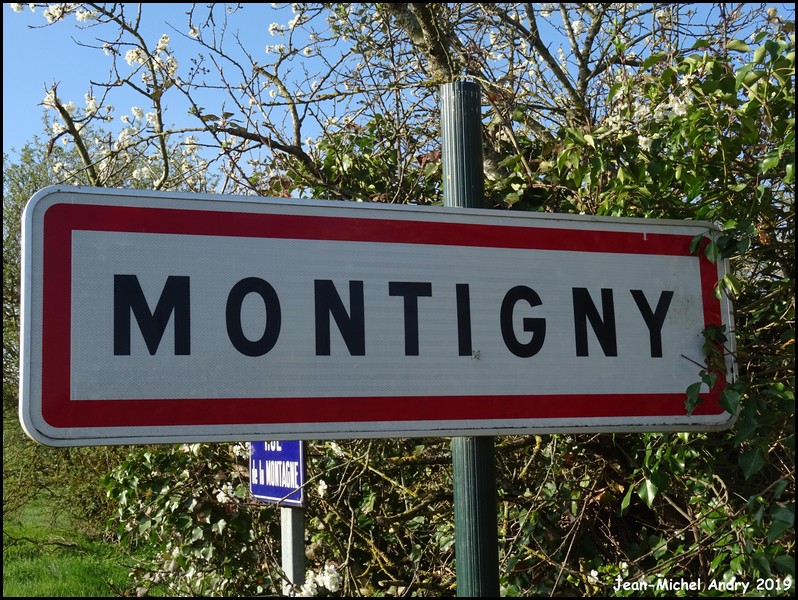 Montigny 45 - Jean-Michel Andry.jpg