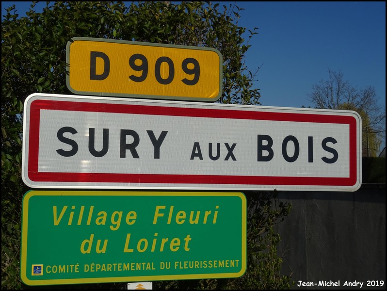 Sury-aux-Bois 45 - Jean-Michel Andry.jpg