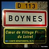 Boynes 45 - Jean-Michel Andry.jpg