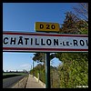 Châtillon-le-Roi 45 - Jean-Michel Andry.jpg