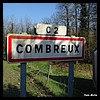 Combreux 45 - Jean-Michel Andry.jpg