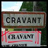 Cravant 45 - Jean-Michel Andry.jpg
