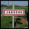 Jargeau 45 - Jean-Michel Andry.jpg
