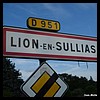 Lion-en-Sullias 45 - Jean-Michel Andry.jpg