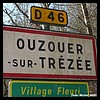 Ouzouer-sur-Trézée 45 - Jean-Michel Andry.jpg