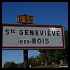 Sainte-Geneviève-des-Bois 45 - Jean-Michel Andry.jpg