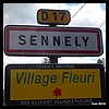 Sennely 45 - Jean-Michel Andry.jpg