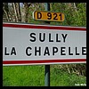 Sully-la-Chapelle 45 - Jean-Michel Andry.jpg