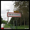 Triguères 45 - Jean-Michel Andry.jpg
