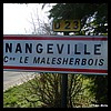 Nangeville 45 - Jean-Michel Andry.jpg
