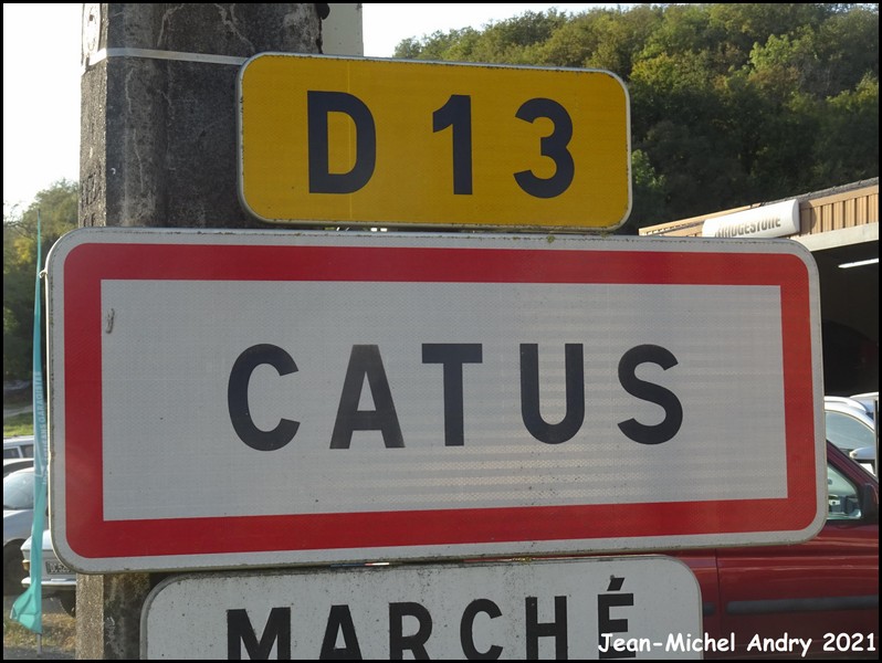 Catus 46 - Jean-Michel Andry.jpg