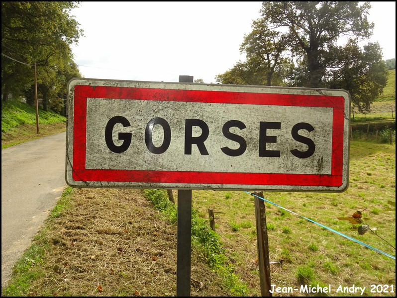 Gorses 46 - Jean-Michel Andry.jpg