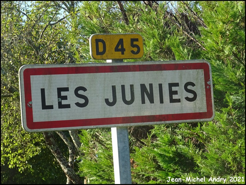 Les Junies 46 - Jean-Michel Andry.jpg