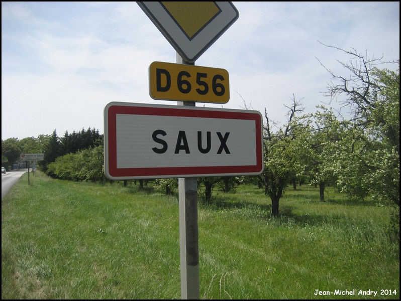 Saux 46 - Jean-Michel Andry.jpg