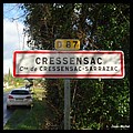 Cressensac 46 - Jean-Michel Andry.jpg