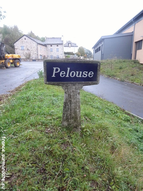 Pelouse.JPG