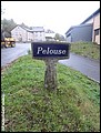 Pelouse.JPG