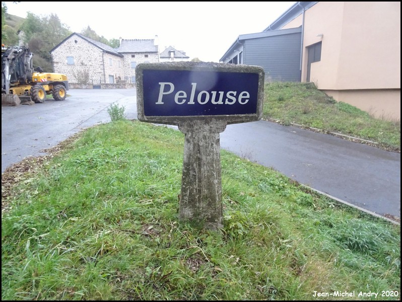 Pelouse 48 - Jean-Michel Andry.jpg