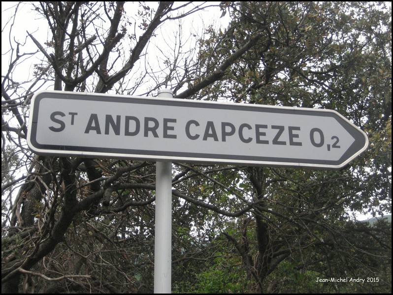 Saint-André-Capcèze 48 - Jean-Michel Andry.jpg