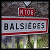 Balsièges 48 - Jean-Michel Andry.jpg