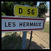 Les Hermaux 48 - Jean-Michel Andry.jpg