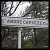 Saint-André-Capcèze 48 - Jean-Michel Andry.jpg