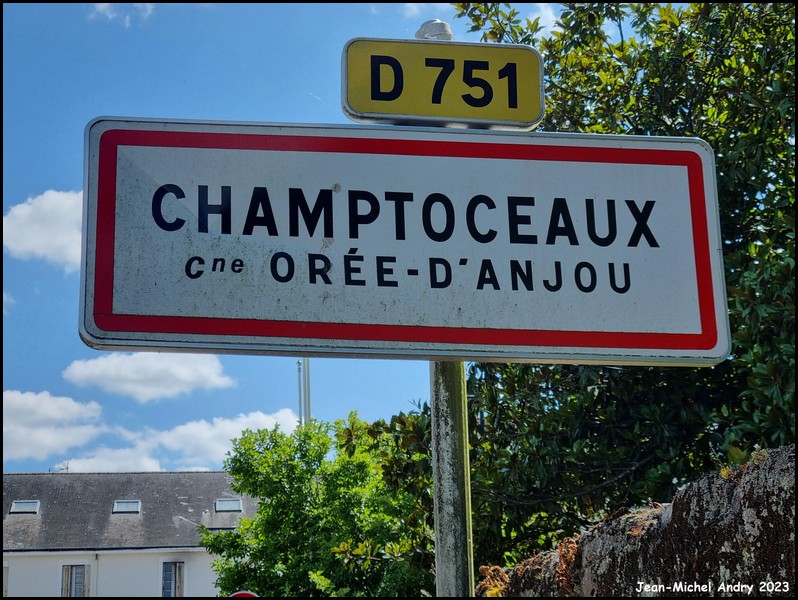 Champtoceaux 49 - Jean-Michel Andry.jpg
