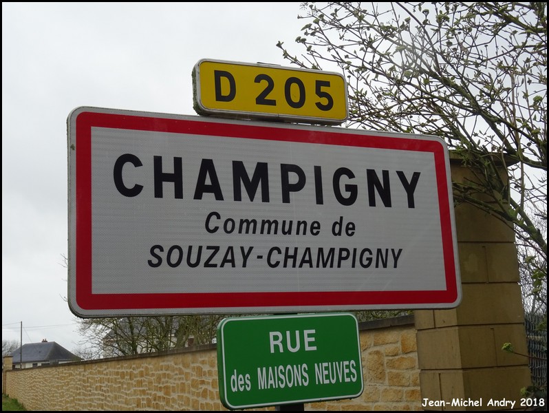 Souzay-Champigny 2 49 - Jean-Michel Andry.jpg